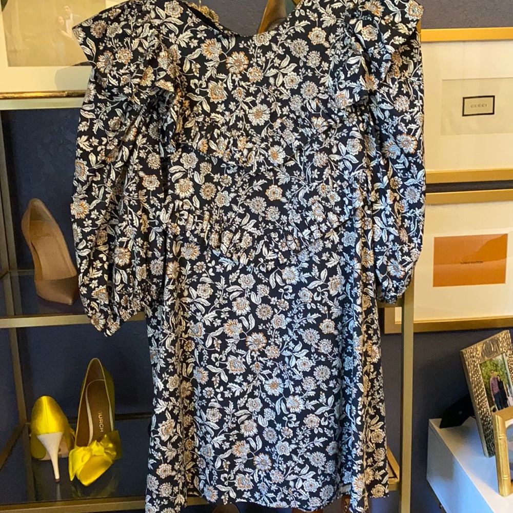 Gorgeous Zara ruffle dress worn 1x